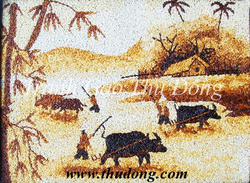 Vietnamese countryside